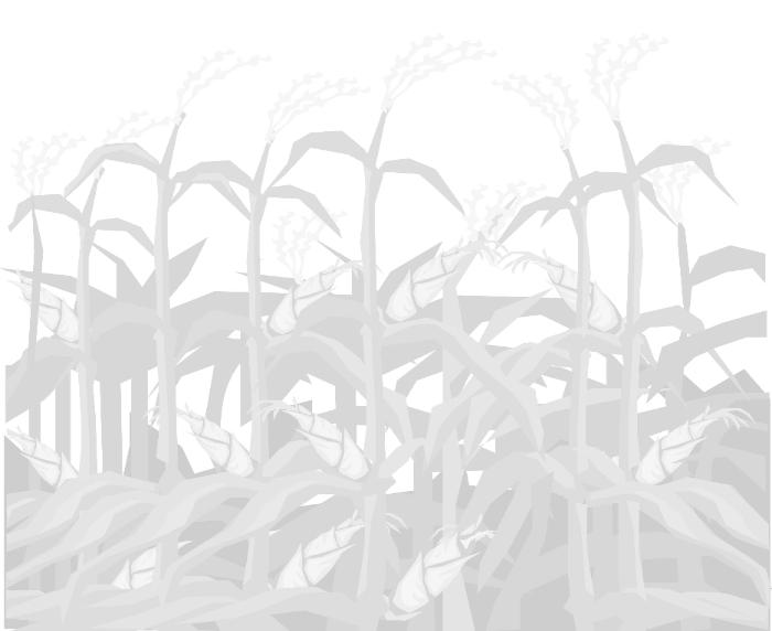 girls lacrosse field. girls lacrosse field